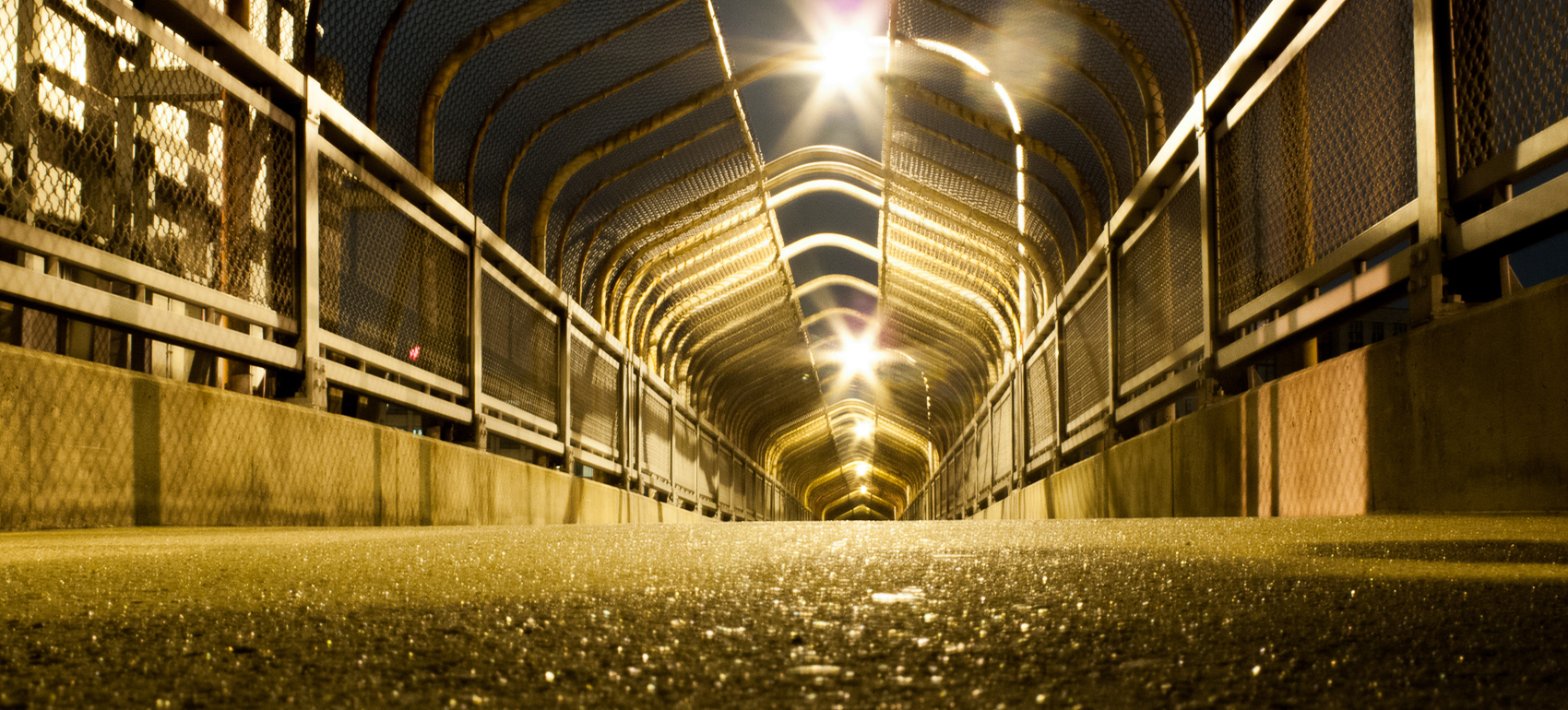 Bridge image photographed by Tracy Penn